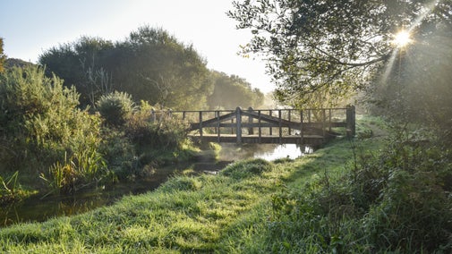Hayle River and footbridge in morning mist and sunlight at Godolphin, Cornwall